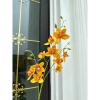 Hoa lan giả cao su cành dài 80cm - Lan Thái sang trọng, giảm giá 45.999 VND 4