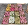 Hoa lan giả cao su cành dài 80cm - Lan Thái sang trọng, giảm giá 45.999 VND 6