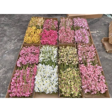 Hoa lan giả cao su cành dài 80cm - Lan Thái sang trọng, giảm giá 45.999 VND 6 Hoa lan giả cao su cành dài 80cm - Lan Thái sang trọng, giảm giá 45.999 VND 6