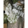 Hoa Lan Hồ Điệp 3D 9 bông - Hoa giả lụa cao cấp, decor nhà, chỉ 14.555₫ 4
