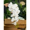Hoa Lan Hồ Điệp 3D 9 bông - Hoa giả lụa cao cấp, decor nhà, chỉ 14.555₫ 6