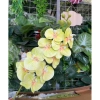 Hoa Lan Hồ Điệp 3D 9 bông - Hoa giả lụa cao cấp, decor nhà, chỉ 14.555₫ 8