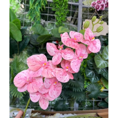 Hoa Lan Hồ Điệp 3D 9 bông - Hoa giả lụa cao cấp, decor nhà, chỉ 14.555₫