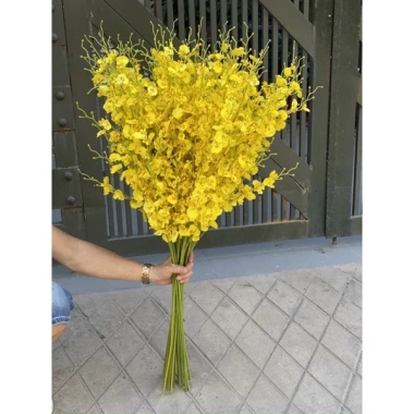 Hoa lan vũ nữ Thái Lan 8 nhánh màu vàng - Cành duy nhất, giá ưu đãi 49k 2