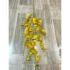 Hoa lan vũ nữ Thái Lan 8 nhánh màu vàng - Cành duy nhất, giá ưu đãi 49k 3
