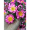 Hoa mai chùm 0,5kg + hoa đào chùm giả L2 - Trang trí Tết siêu rẻ 31.000₫ 3