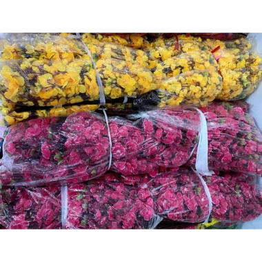 Hoa mai đào cành trang trí Tết 2.025 - Đẹp, giá chỉ 145.000 VND, giảm 175.450 VND
