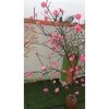 Hoa Mai và Đào Lụa Giả Trang Trí Tết - Decor Hội Chợ Xuân Giá 26.400₫ 5