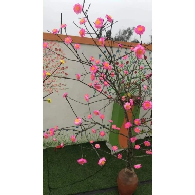 Hoa Mai và Đào Lụa Giả Trang Trí Tết - Decor Hội Chợ Xuân Giá 26.400₫ 5