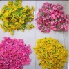 Hoa Mai và Hoa Đào Giả 1kg Trang Trí Tết Cổ Truyền - Giá Ưu Đãi 40.000 VNĐ 5