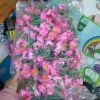 Hoa Mai và Hoa Đào Giả 1kg Trang Trí Tết Cổ Truyền - Giá Ưu Đãi 40.000 VNĐ 10