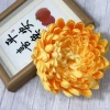 Hoa Mẫu Đơn Đại Size Tết 2.026 - Điểm Nhấn Trang Trí Nhà, Quán Cafe, Giá 12.9k 6
