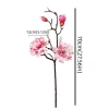 Hoa Mộc Lan Nhân Tạo DESPITEGO - Bình Hoa EVA Handmade, Mô Phỏng Thực Tế, Giá Ưu Đãi 132.948₫ 2