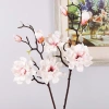 Hoa Mộc Lan Nhân Tạo DESPITEGO - Bình Hoa EVA Handmade, Mô Phỏng Thực Tế, Giá Ưu Đãi 132.948₫ 4