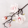 Hoa Mộc Lan Nhân Tạo DESPITEGO - Bình Hoa EVA Handmade, Mô Phỏng Thực Tế, Giá Ưu Đãi 132.948₫ 5
