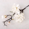 Hoa Mộc Lan Nhân Tạo DESPITEGO - Bình Hoa EVA Handmade, Mô Phỏng Thực Tế, Giá Ưu Đãi 132.948₫ 8