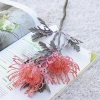 Hoa móng vuốt cua nhân tạo 2 nhánh ngắn phong cách pincushion – trang trí lễ hội, vòng hoa, bình hoa cho phòng cưới 8