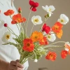 Hoa poppy giả lụa anh túc 1 nhánh 3 bông 1 nụ nhiều màu decor phòng 14.000₫ 2