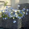 Hoa poppy giả lụa anh túc 1 nhánh 3 bông 1 nụ nhiều màu decor phòng 14.000₫ 9