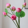 Hoa sen giả cao cấp loại 1 - Trang trí decor phong cách Quan Âm, chỉ 34.000đ