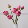 Hoa sen giả cao cấp loại 1 - Trang trí decor phong cách Quan Âm, chỉ 34.000đ 3