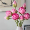 Hoa sen giả cao cấp loại 1 - Trang trí decor phong cách Quan Âm, chỉ 34.000đ 9