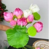 Hoa sen giả Quan Âm lụa cao cấp - Decor phòng khách, nhà hàng, giảm còn 34k 6