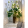 Hoa sen lụa decor sang trọng, trang trí nhà cửa - Giá ưu đãi 50.000 VND