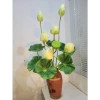Hoa sen lụa trang trí sang trọng, giá ưu đãi 99.000đ, decor nội thất, chất liệu mềm mại, thiết kế tinh tế 7