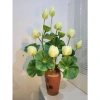 Hoa sen lụa trang trí sang trọng, giá ưu đãi 99.000đ, decor nội thất, chất liệu mềm mại, thiết kế tinh tế 9