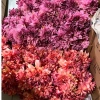 Hoa thược dược giả cao cấp trang trí nhà, bàn, cổng cưới, sự kiện chỉ 52.000₫ 9