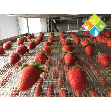 Hỏa Tốc 500g Dâu Tây Sấy Giòn Loại 1 Đà Lạt Chua Ngọt Giòn Tan Giá 78.000đ 9