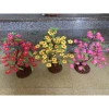 Hoả Tốc Cây hoa mai đào mini 50cm để bàn - Trang trí Tết siêu đẹp, chỉ 45.000đ