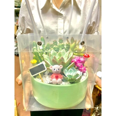 Hỏa Tốc Chậu Cây Để Bàn Trồng Sẵn và Túi Đựng Quà, Nhận Lời Chúc Yêu Thương - Giảm Giá Đặc Biệt 75k