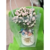 Hỏa Tốc Chậu Cây Để Bàn Trồng Sẵn và Túi Đựng Quà, Nhận Lời Chúc Yêu Thương - Giảm Giá Đặc Biệt 75k 2