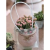 Hỏa Tốc Chậu Cây Để Bàn Trồng Sẵn và Túi Đựng Quà, Nhận Lời Chúc Yêu Thương - Giảm Giá Đặc Biệt 75k 5