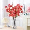 Hoa Trà Gạo Cổ Loại 1 Sephira Flower Hoa Trà Xốp Đẹp Trang Trí Phòng Khách Giá 15.900₫ 6