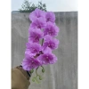 Hoa vải lụa Lan hồ điệp 9 bông cánh xoăn dài 1m - Cao cấp, Giá ưu đãi 25.000đ 3