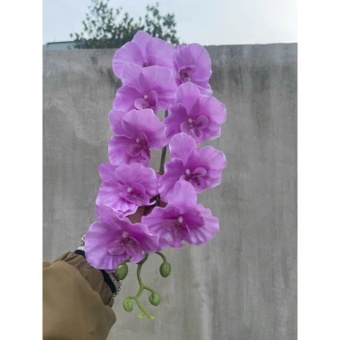 Hoa vải lụa Lan hồ điệp 9 bông cánh xoăn dài 1m - Cao cấp, Giá ưu đãi 25.000đ 3 Hoa vải lụa Lan hồ điệp 9 bông cánh xoăn dài 1m - Cao cấp, Giá ưu đãi 25.000đ 3
