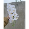 Hoa vải lụa Lan hồ điệp 9 bông cánh xoăn dài 1m - Cao cấp, Giá ưu đãi 25.000đ 6