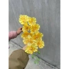 Hoa vải lụa Lan hồ điệp 9 bông cánh xoăn dài 1m - Cao cấp, Giá ưu đãi 25.000đ 7