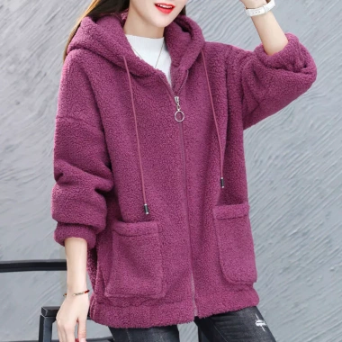 Hoodie Nữ Mùa Đông Len Cừu Dày Cashmere Hàn Quốc Dây Kéo - Siêu Ấm, Giá 148k 3