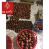 Hộp đựng tăm hồ lô gỗ hương bầu nguyên - Khối trang trí nhà cửa, giá ưu đãi 30.720₫ 8