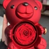 Hộp đựng trang sức gấu hồng ôm xoay - Nhựa dễ thương, xà phòng trưng bày, hoa hồng lãng mạn, quà tặng bạn gái 9