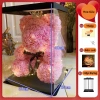 Hộp Quà Tặng Hoa Gấu Đội Vương Miện có Đèn LED - Quà Sinh Nhật, Valentine, Cưới 179k 3