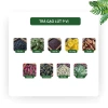 Hộp quà Tết Thịnh Vượng 35 gói Trà Gừng Đường Nâu & Trà Gạo Lứt - Sang Trọng Cao Cấp - 185.000₫ 2