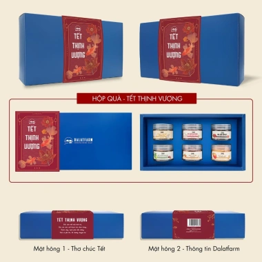 Hộp Quà Tết Thịnh Vượng Trà Hạt Mứt Phiên Bản Hộp Xanh Giá 250k 4