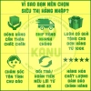 Hộp Socola Thỏi Vàng Pamiriter Đài Loan 200g – Sô Cô La Đồng Tiền Tết 85.000₫ 7