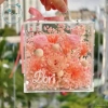 Hộp Vali Mica Tự Decor - Quà Sinh Nhật, Valentine 14/2, 8/3 - Tự Lắp - Giá 149.500₫ 6