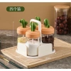Hũ đựng gia vị xương rồng sét 4 lọ kèm khay - Tiết kiệm, tiện lợi, chỉ 115k 3